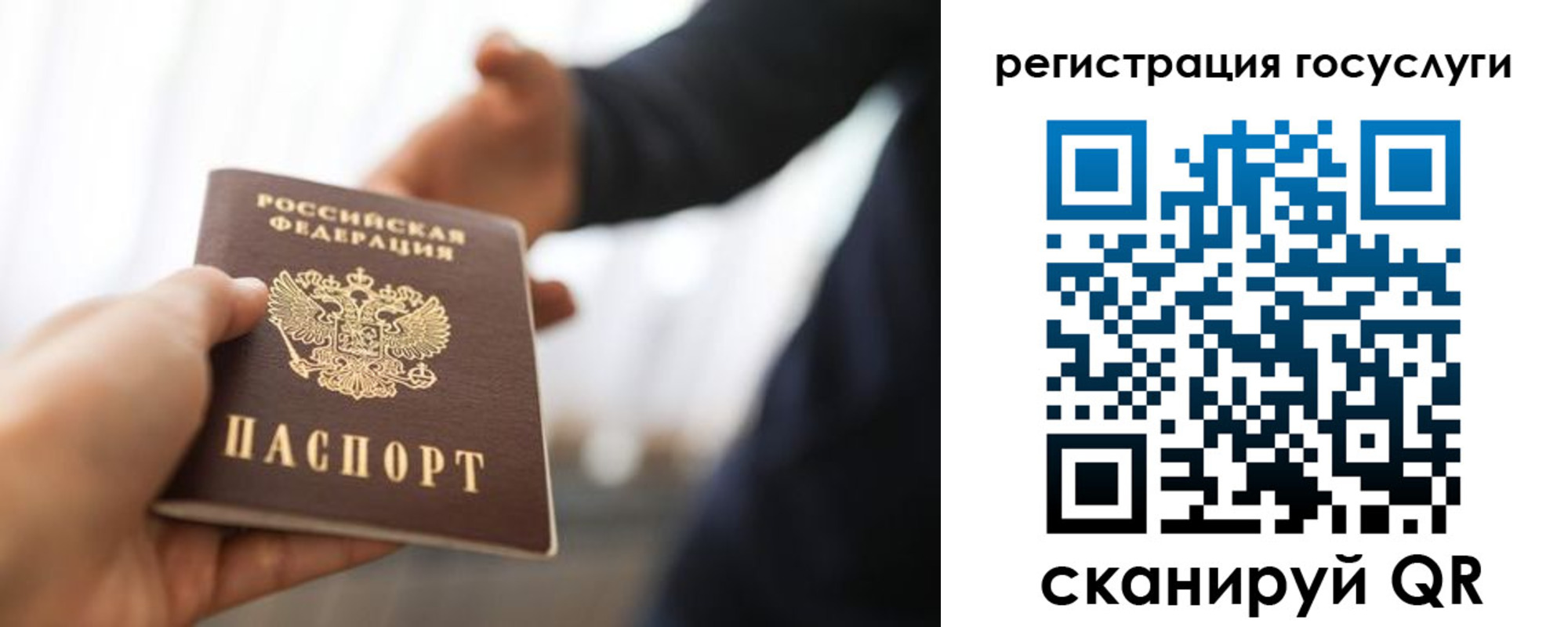 временная регистрация поиск в Елизово